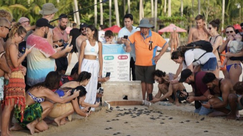 Nacpan Sea Turtle Center