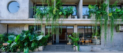 Z Garden